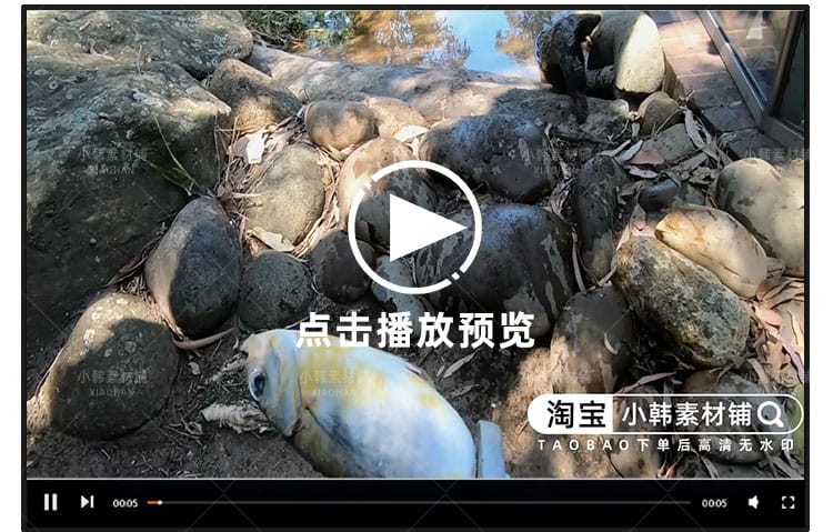 救治动物纪录片动物园秘密全10集自媒体快手抖音视频剪辑素材