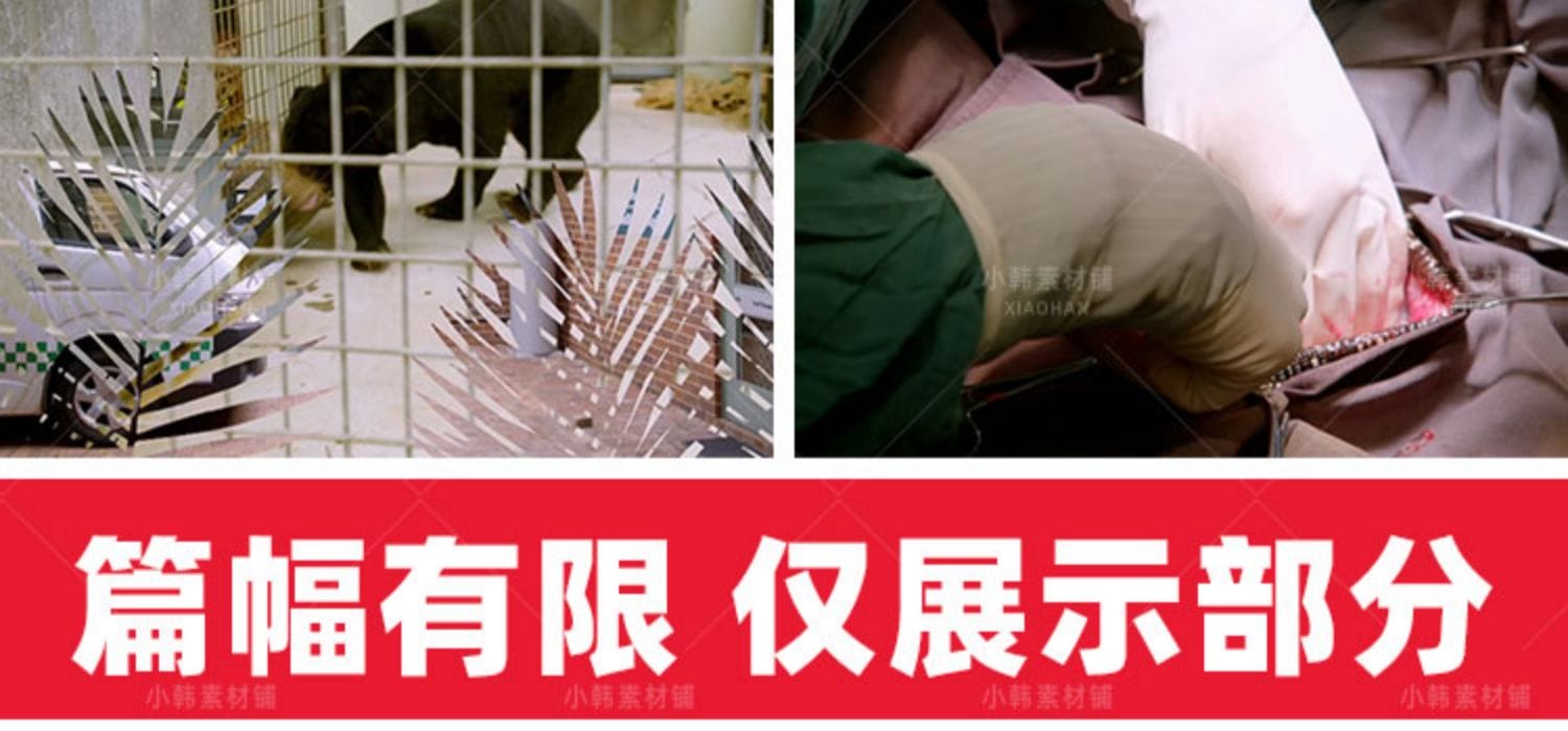 救治动物纪录片动物园秘密全10集自媒体快手抖音视频剪辑素材