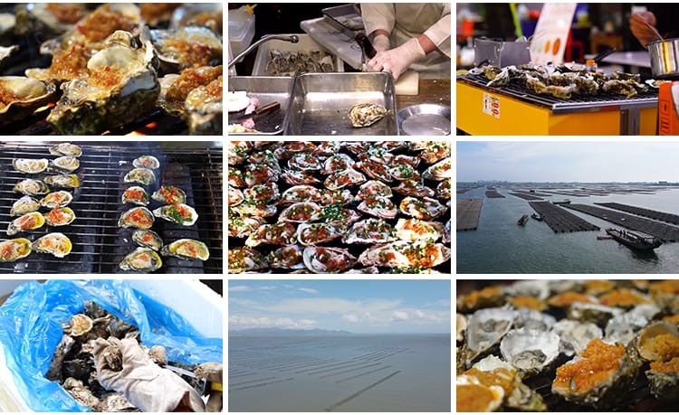 炭烧烤生蚝蒜蓉新鲜海鲜美食生蚝养殖基地海蛎子牡蛎剪辑视频素材