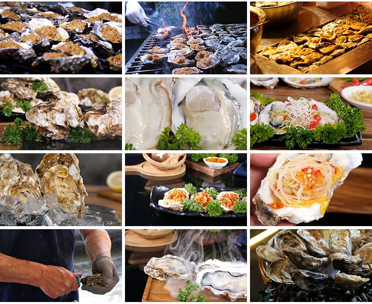 炭烧烤生蚝蒜蓉新鲜海鲜美食生蚝养殖基地海蛎子牡蛎剪辑视频素材