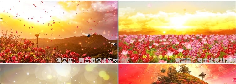 映山红山歌民歌花海花朵晚会舞台抖音动态直播间led背景视频素材