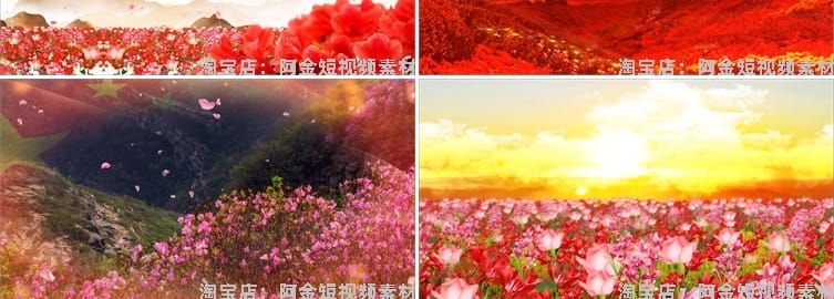 映山红山歌民歌花海花朵晚会舞台抖音动态直播间led背景视频素材
