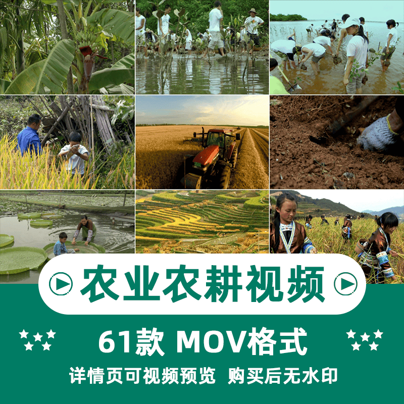 农业农耕收割水稻棉花横版高清抖音自媒体pr剪辑背景视频素材