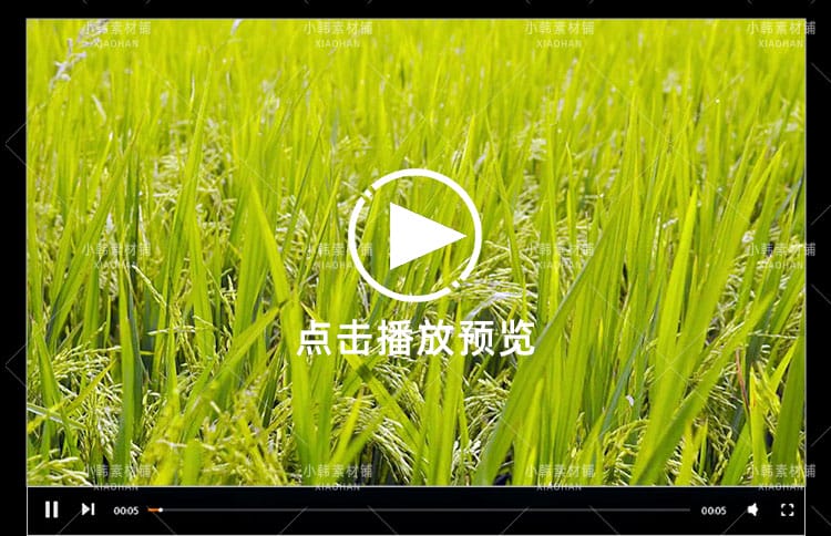 农业农耕收割水稻棉花横版高清抖音自媒体pr剪辑背景视频素材
