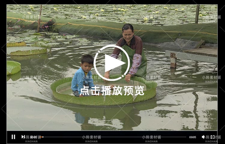 农业农耕收割水稻棉花横版高清抖音自媒体pr剪辑背景视频素材