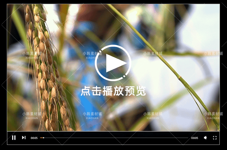 农业农耕收割水稻棉花横版高清抖音自媒体pr剪辑背景视频素材