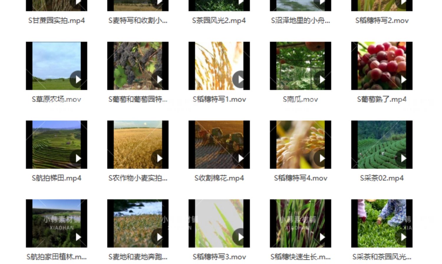 农业农耕收割水稻棉花横版高清抖音自媒体pr剪辑背景视频素材