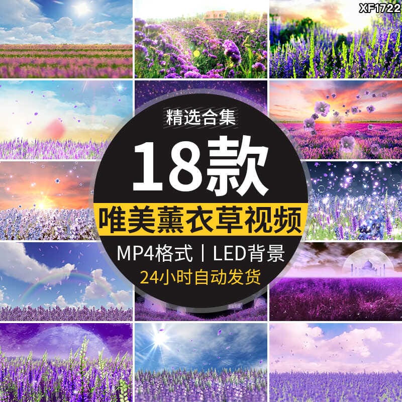 唯美紫色薰衣草梦幻浪漫花海婚礼晚会舞台LED大屏幕背景视频素材