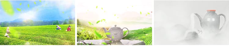 茶叶飘叶中国风茶园采茶山品茶茶田茶艺表演舞台LED背景视频素材