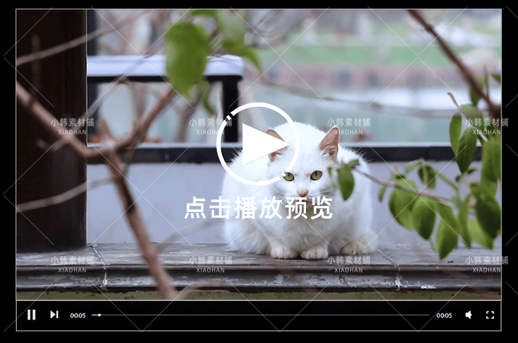 小猫可爱动物横版高清抖音自媒体pr剪辑背景视频素材