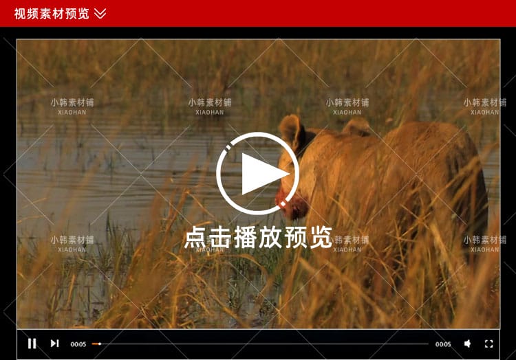 国家地理野生动物纪录片超级大猫全5集中视频自媒体解说视频素材