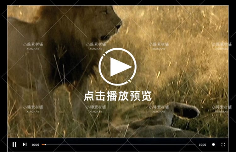 国家地理野生动物纪录片超级大猫全5集中视频自媒体解说视频素材