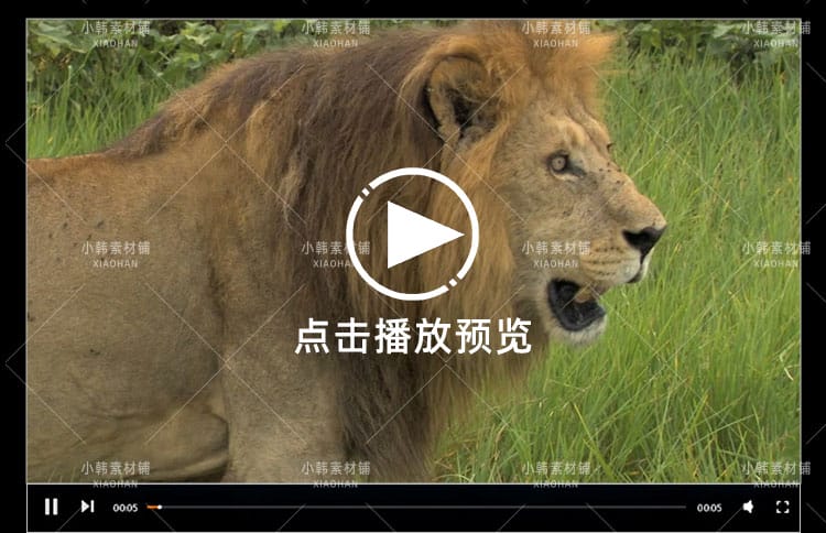 国家地理野生动物纪录片超级大猫全5集中视频自媒体解说视频素材