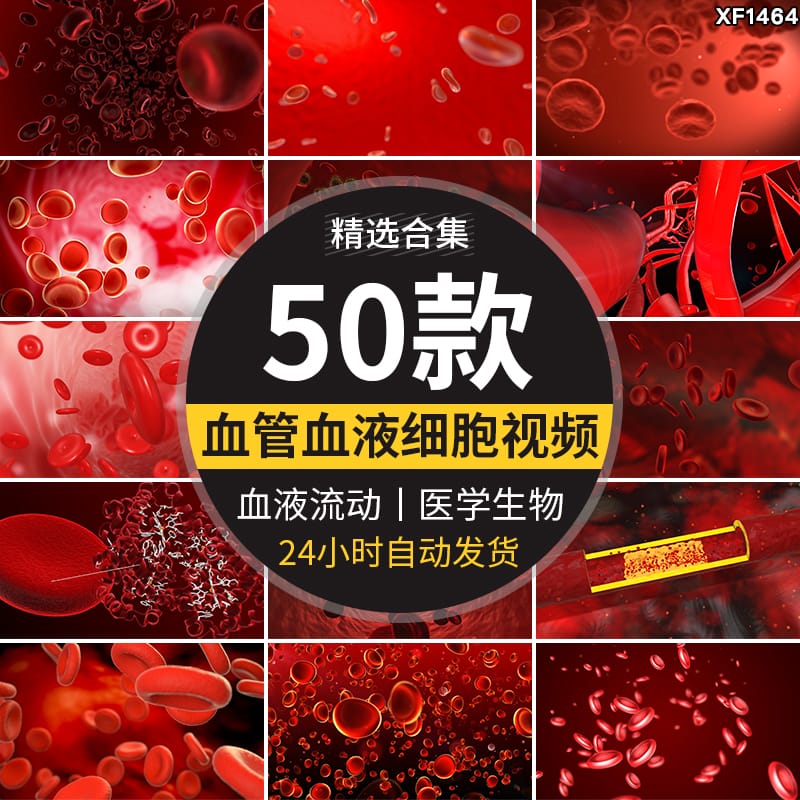 血液血管红细胞病毒医学医疗生物抖音快手自媒体高清剪辑视频素材
