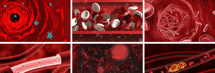 血液血管红细胞病毒医学医疗生物抖音快手自媒体高清剪辑视频素材