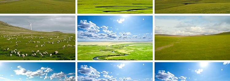 内蒙古呼伦贝尔风光大草原蓝天白云旅游风景高清航拍背景视频素材