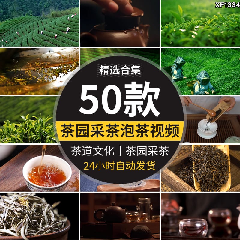 茶园采茶嫩绿色茶树特写茶艺文化茶道泡茶山红茶喝茶采摘视频素材