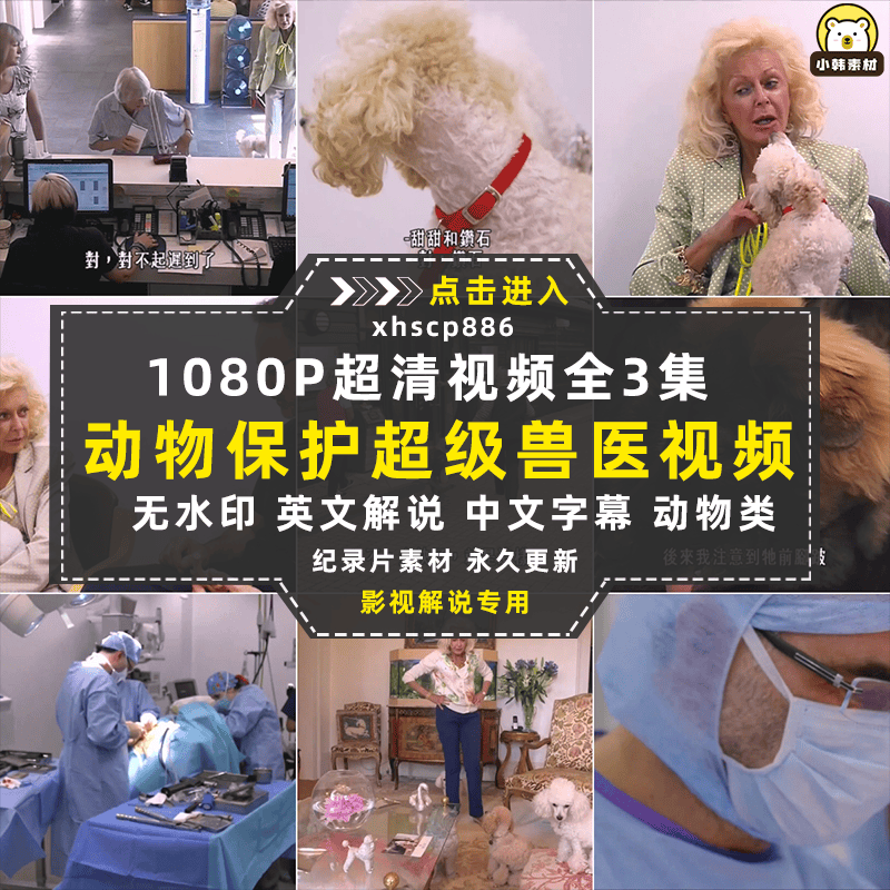 BBC动物保护纪录片超级兽医全3集中视频自媒体解说高清视频素材