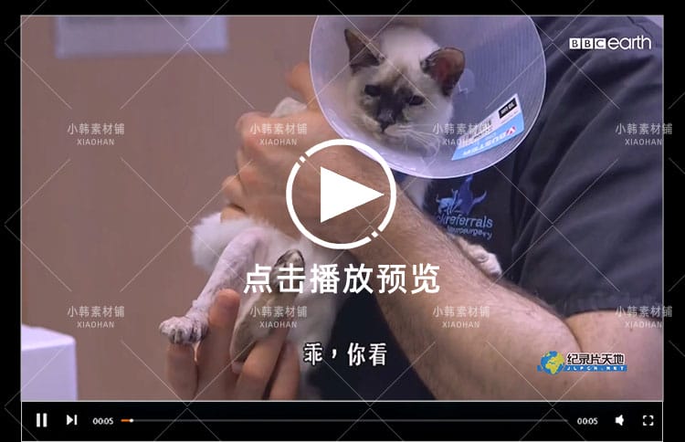 BBC动物保护纪录片超级兽医全3集中视频自媒体解说高清视频素材