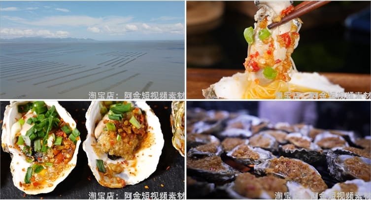 生蚝海蛎子夜宵生活烧烤炭烤美食短视频自媒体高清实拍素材剪辑