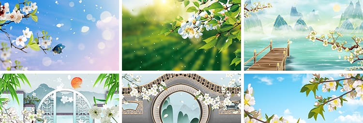 春天唯美梨树梨花瓣飘落中国风水墨古风古典LED舞台背景视频素材