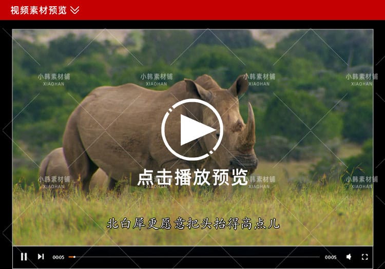 BBC珍稀动物保护纪录片最后一眼全6集中视频自媒体解说视频素材