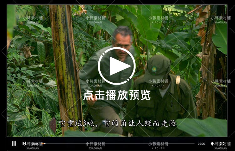 BBC珍稀动物保护纪录片最后一眼全6集中视频自媒体解说视频素材