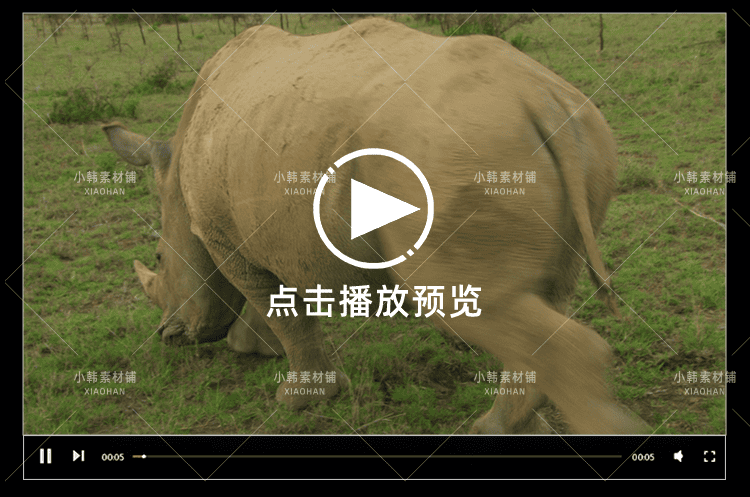 BBC珍稀动物保护纪录片最后一眼全6集中视频自媒体解说视频素材