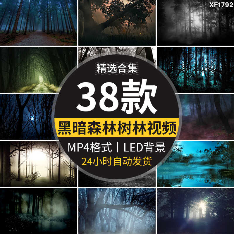 黑暗森林迷雾阴森恐怖幽静树林万圣节晚会大屏幕LED背景视频素材