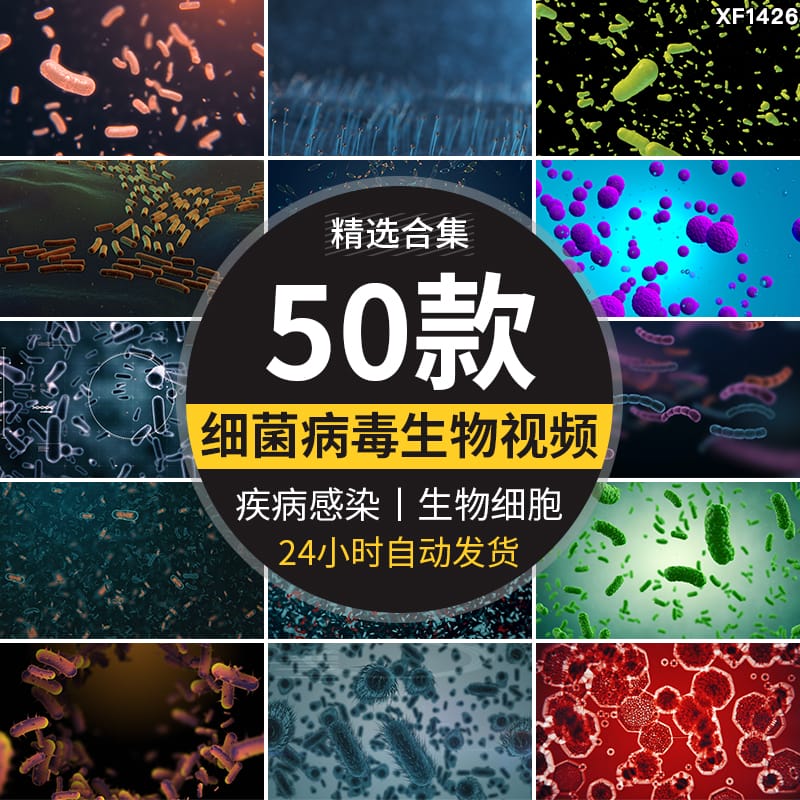 病毒细菌病菌感染细胞微生物医学传染疾病传播寄生虫高清视频素材