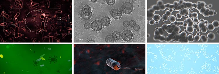 病毒细菌病菌感染细胞微生物医学传染疾病传播寄生虫高清视频素材