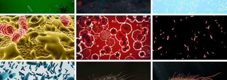 病毒细菌病菌感染细胞微生物医学传染疾病传播寄生虫高清视频素材