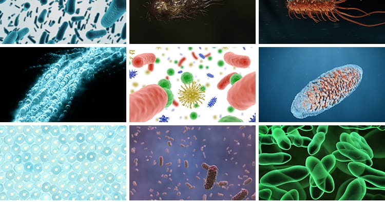 病毒细菌病菌感染细胞微生物医学传染疾病传播寄生虫高清视频素材