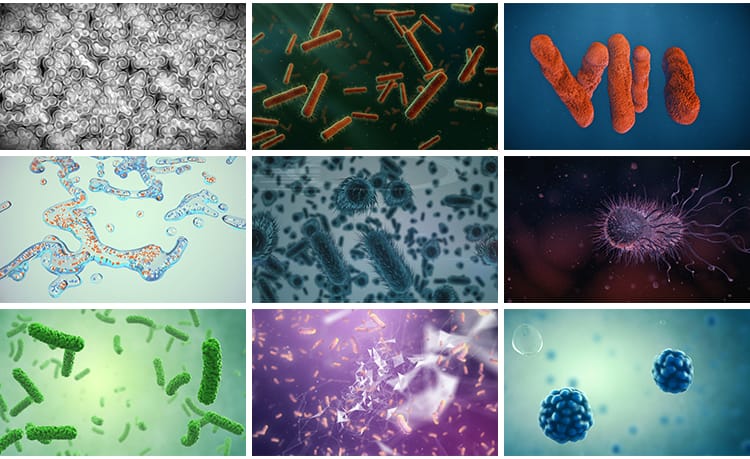 病毒细菌病菌感染细胞微生物医学传染疾病传播寄生虫高清视频素材