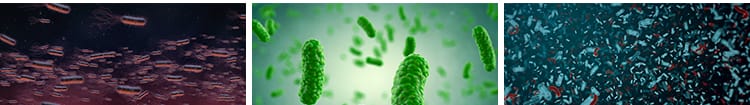 病毒细菌病菌感染细胞微生物医学传染疾病传播寄生虫高清视频素材