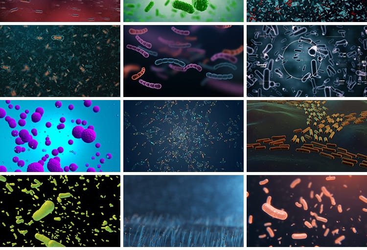 病毒细菌病菌感染细胞微生物医学传染疾病传播寄生虫高清视频素材