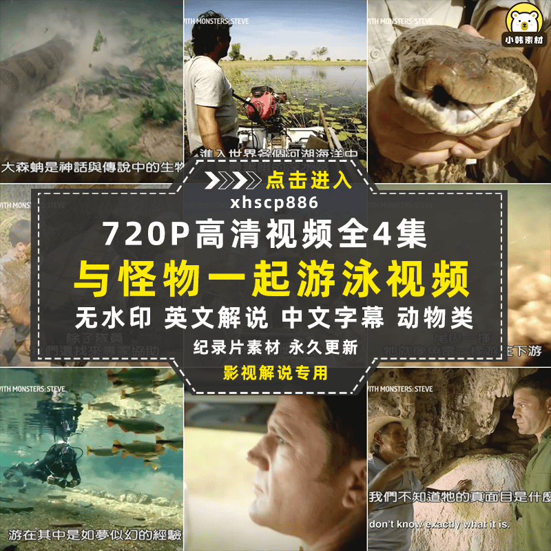 野生动物研究纪录片与怪物一起游泳中视频自媒体解说高清视频素材
