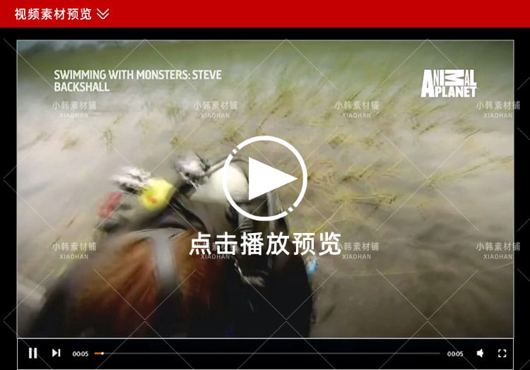 野生动物研究纪录片与怪物一起游泳中视频自媒体解说高清视频素材