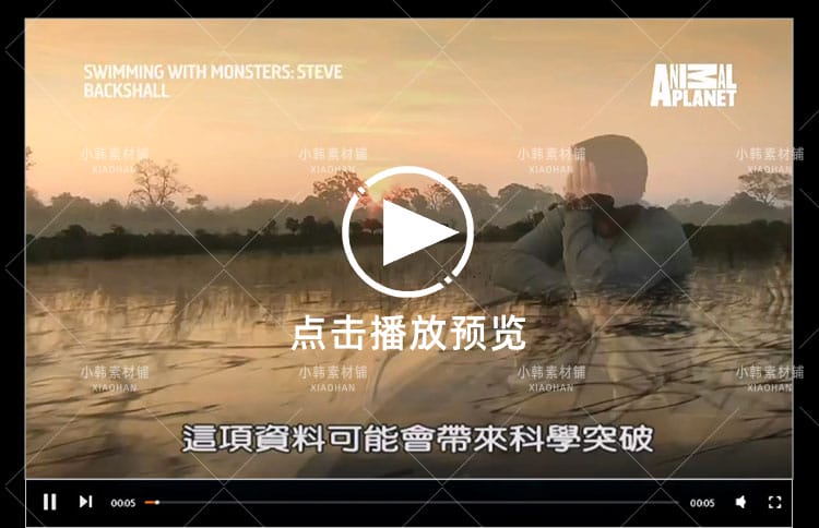 野生动物研究纪录片与怪物一起游泳中视频自媒体解说高清视频素材