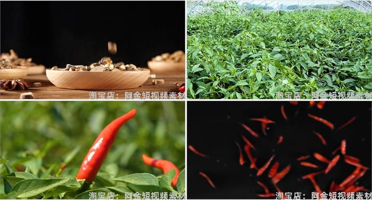晾晒红辣椒小米农业种植收获采摘青辣椒抖音视频高清实拍素材剪辑