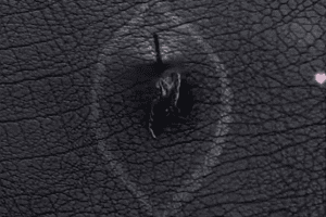 精选115个日常生活小妙招短视频视频素材–第7波