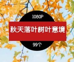 秋天落叶树叶意境视频素材