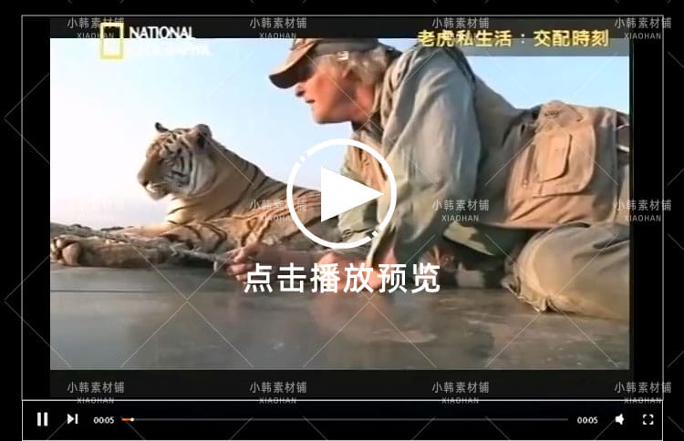 国家地理野生动物纪录片老虎私生活中视频自媒体解说高清视频素材