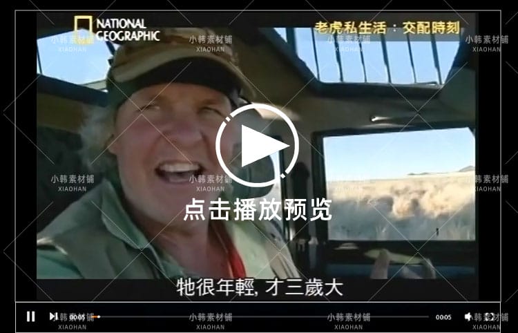 国家地理野生动物纪录片老虎私生活中视频自媒体解说高清视频素材