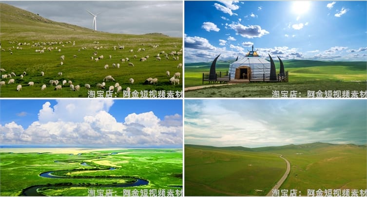内蒙古呼伦贝尔蓝天白云风光大草原羊群风景素材航拍旅游短视频