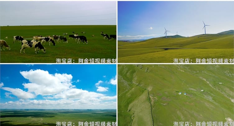 内蒙古呼伦贝尔蓝天白云风光大草原羊群风景素材航拍旅游短视频
