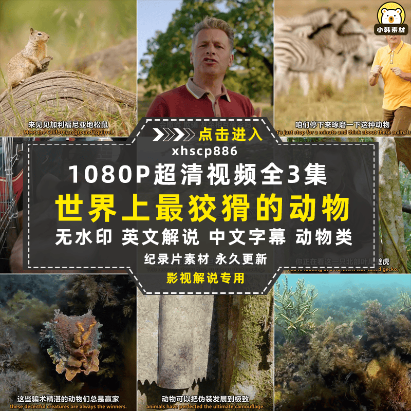 BBC野生动物纪录片世界上最狡猾的动物中视频自媒体解说视频素材