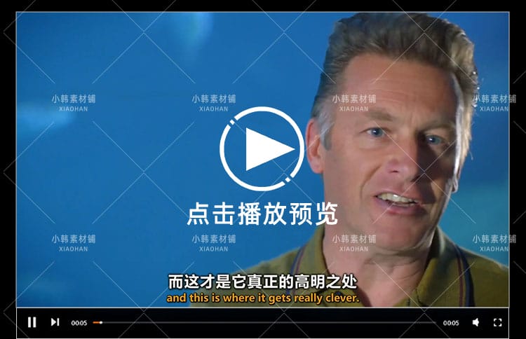 BBC野生动物纪录片世界上最狡猾的动物中视频自媒体解说视频素材