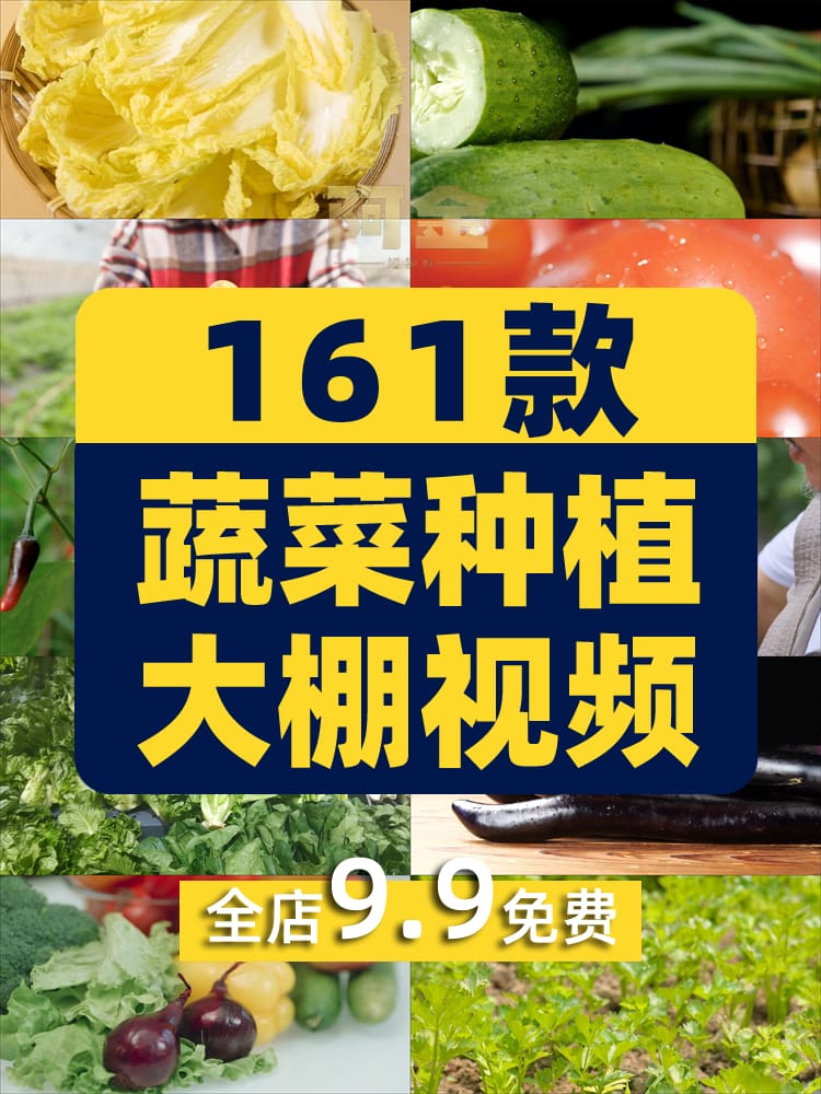 新鲜有机绿色蔬菜种植农业农产品生态健康大棚食材实拍短视频素材