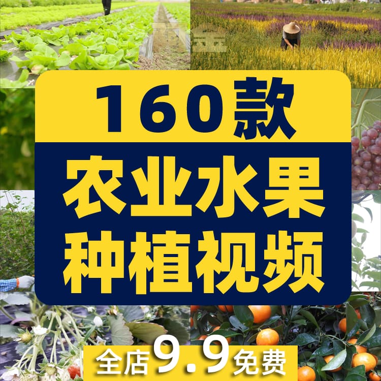 农业发展水稻水果种植大棚有机素材小麦玉米视频高清实拍素材剪辑